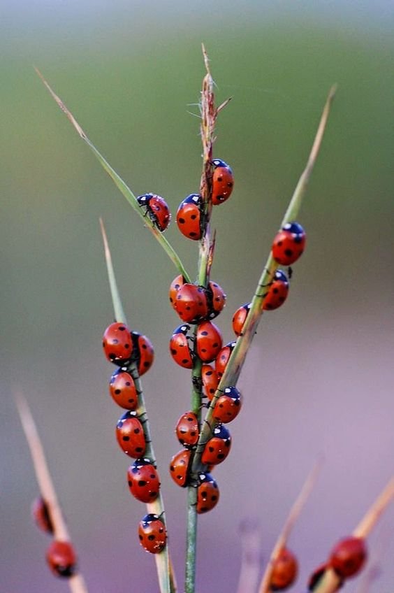 3e2ba19570bcd2dcfc47c51edb29e424