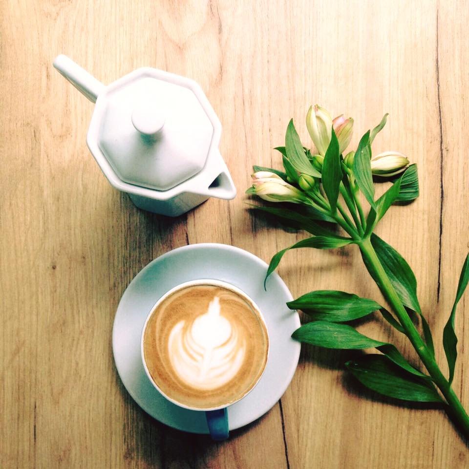 13312886_1776594935893180_352228623702894102_n