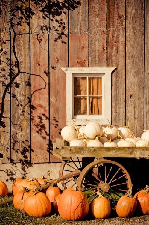 9a80fbaf031e1dcf572dced6a2a11381