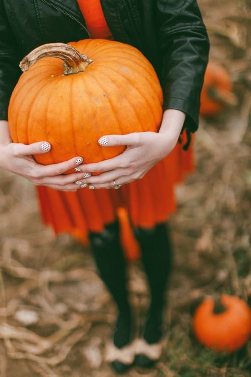 c5f02a5788ee04af83a9e57e31776605