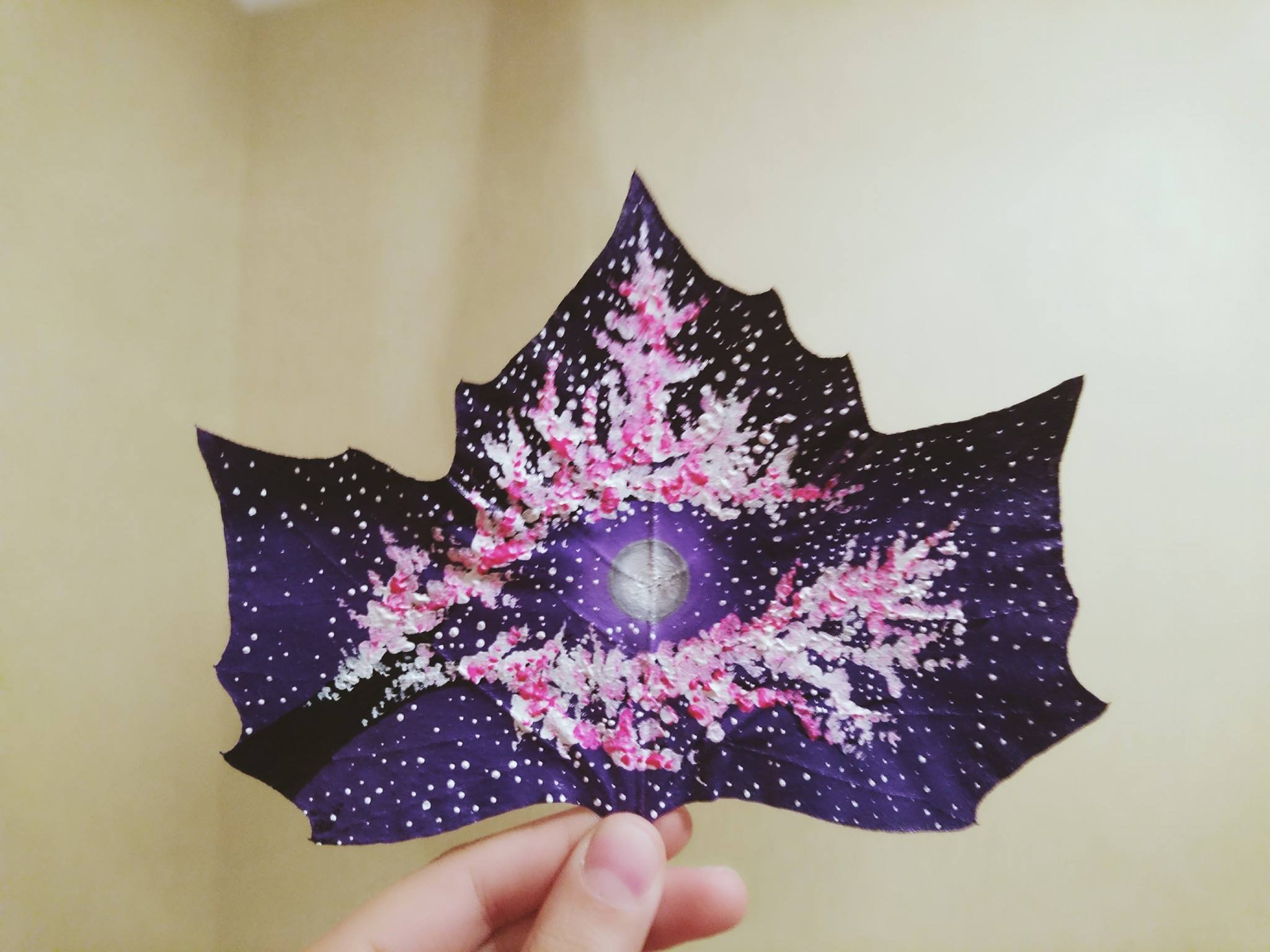 14361307_1755725704677207_4085588049499076167_o